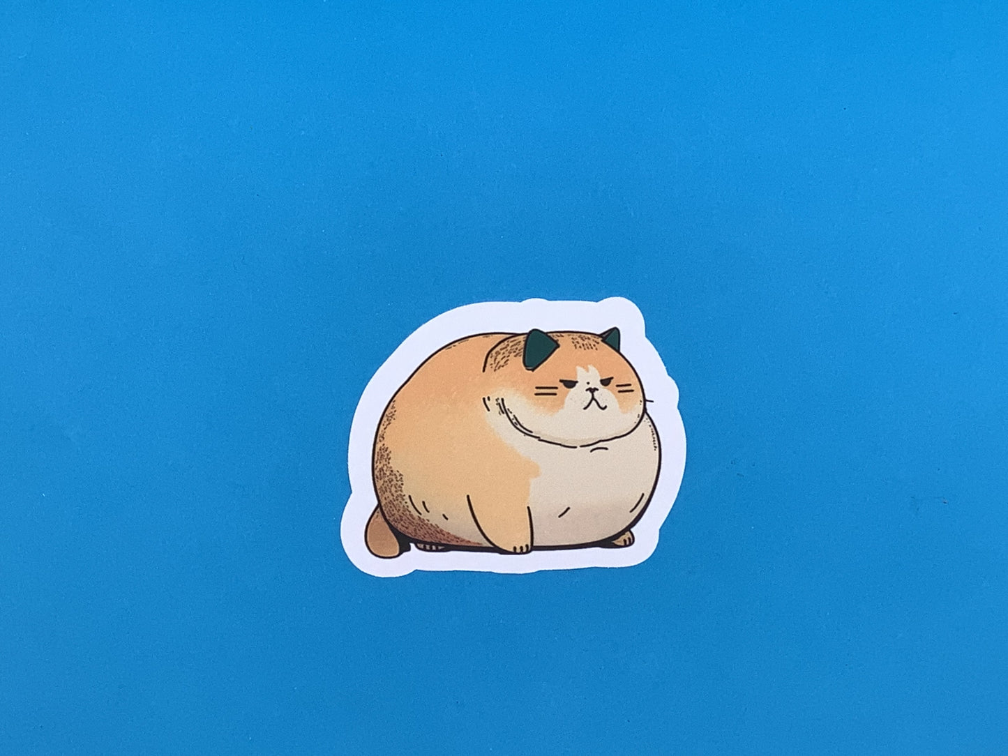 Kimmi Fat Cat Waterproof Sticker