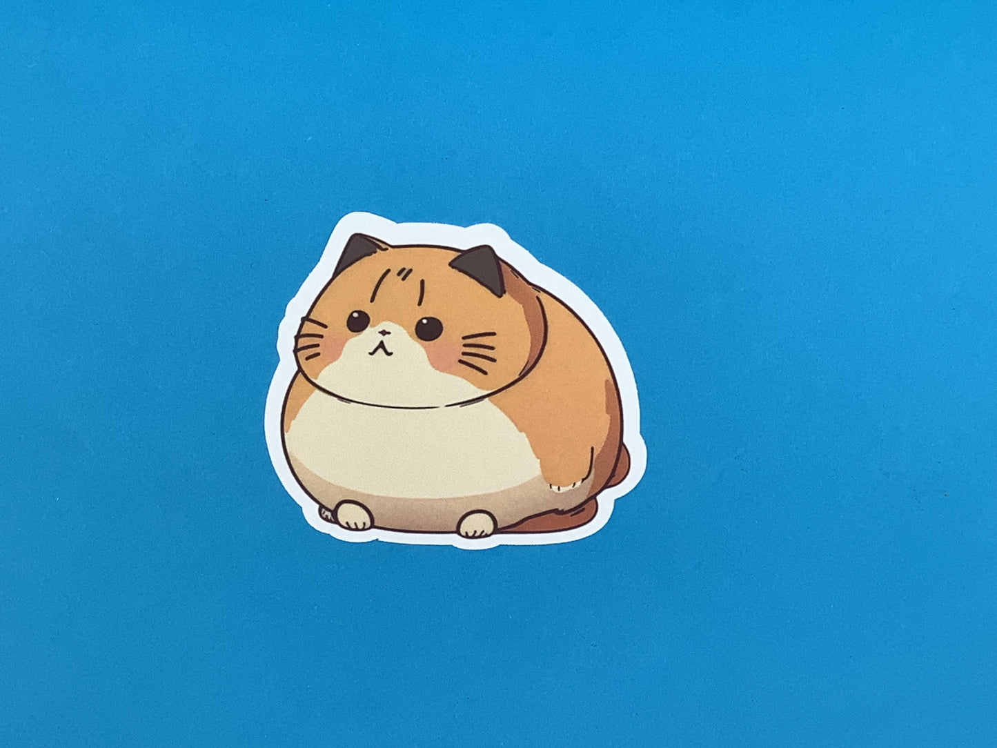 Surprised Fat Cat Waterproof Sticker